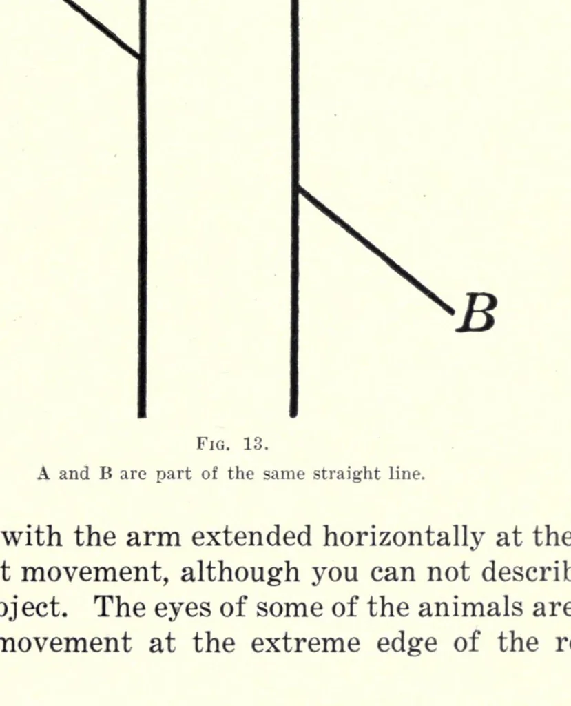 An illustration from Color and its application to printing, 1911, leaf 41