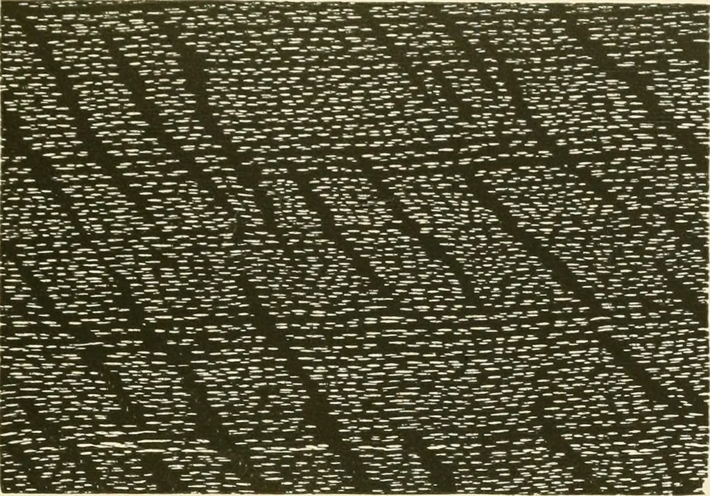 An illustration from The color printer. A treatise on the use of colors in typographic printing, 1892, leaf 266