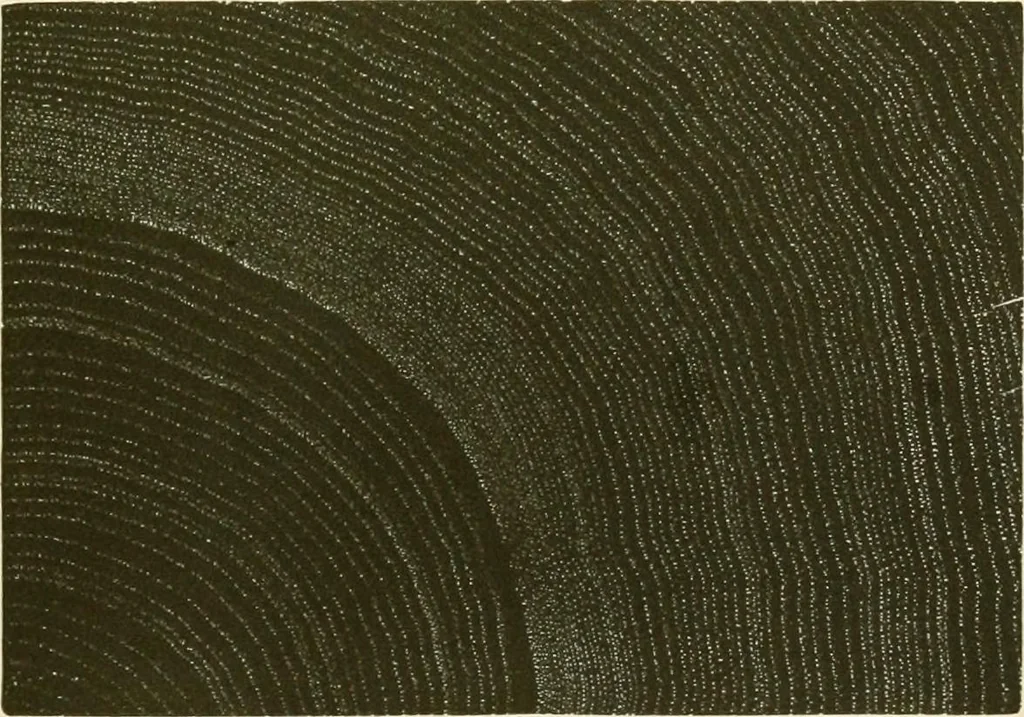 An illustration from The color printer. A treatise on the use of colors in typographic printing, 1892, leaf 266