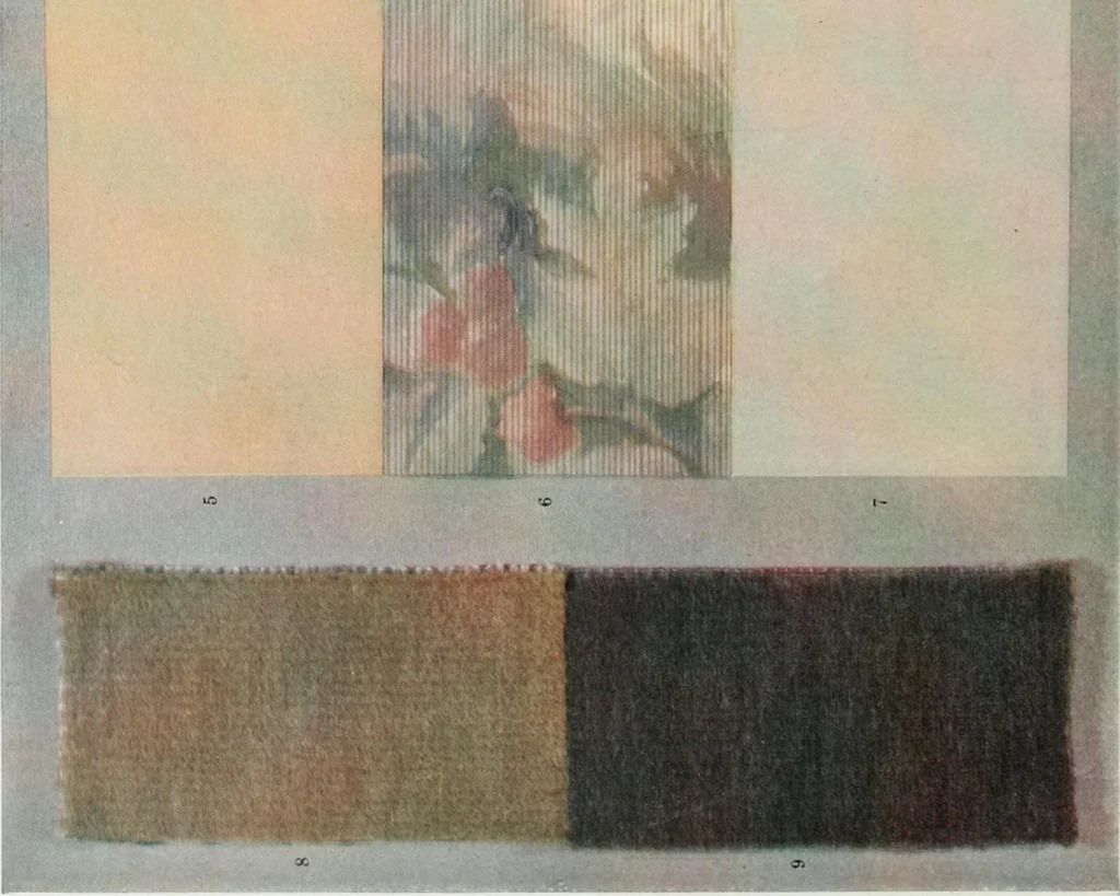 An illustration from Color schemes for the home and model interiors, 1919, leaf 41