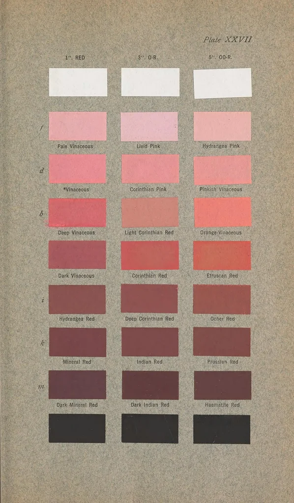 An illustration from Color standards and color nomenclature, 1912, leaf 113