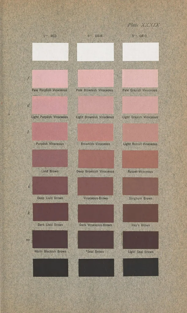 An illustration from Color standards and color nomenclature, 1912, leaf 137