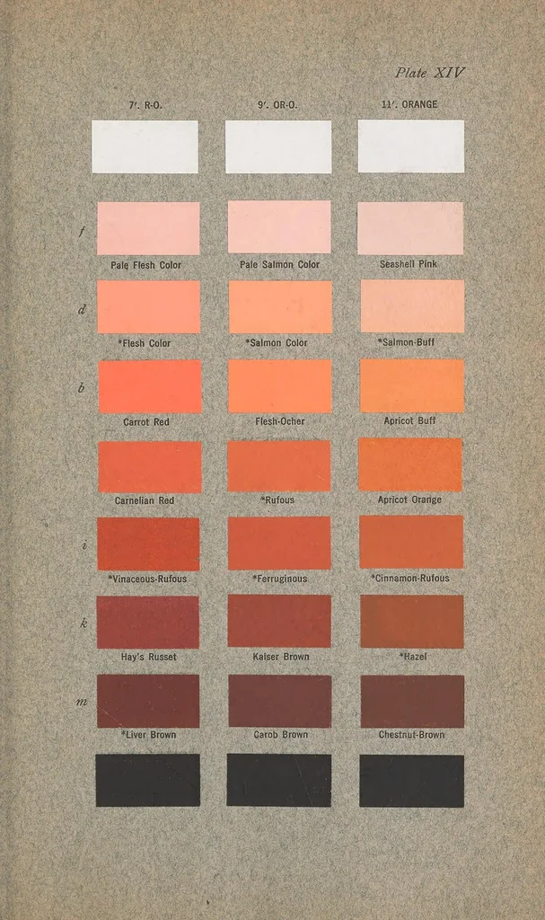 An illustration from Color standards and color nomenclature, 1912, leaf 87