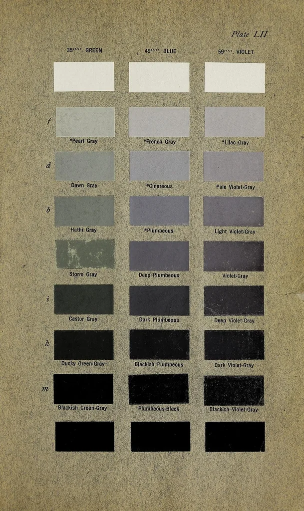 An illustration from Color standards and color nomenclature, 1912, leaf 269