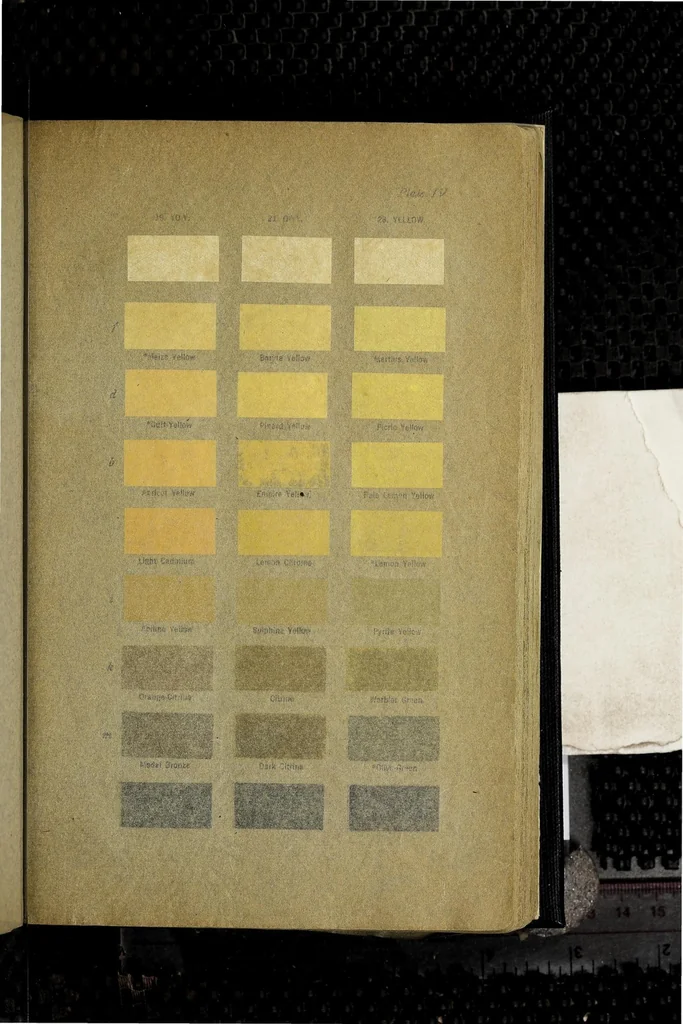 An illustration from Color standards and color nomenclature, 1912, leaf 73