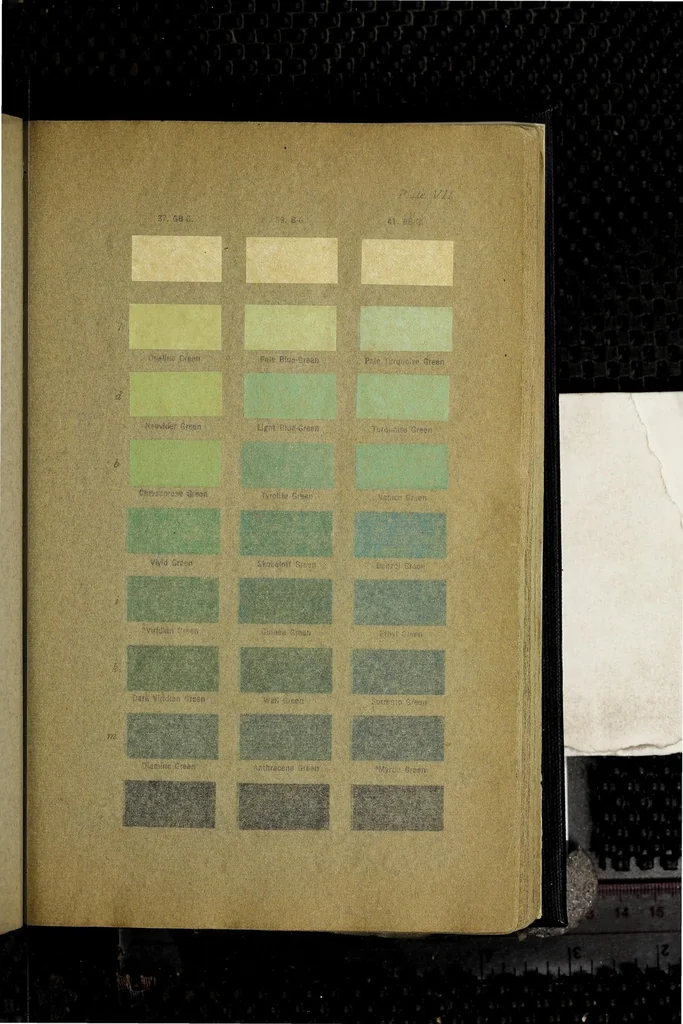 An illustration from Color standards and color nomenclature, 1912, leaf 85