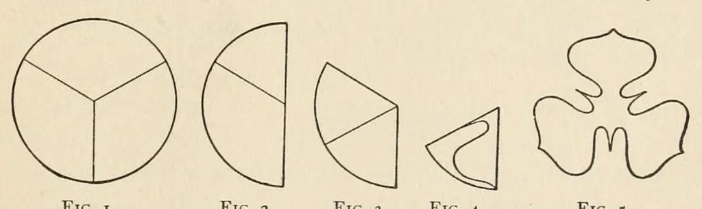 An illustration from Color study : a manual for teachers and students, 1896, leaf 57