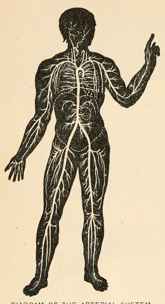 An illustration from Color study : a manual for teachers and students, 1896, leaf 90