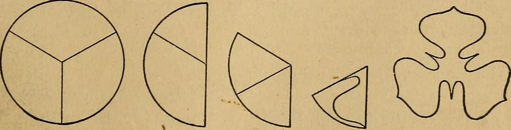 An illustration from Color study : a manual for teachers and students, 1895, leaf 40