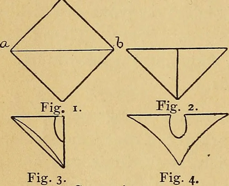 An illustration from Color study : a manual for teachers and students, 1895, leaf 55
