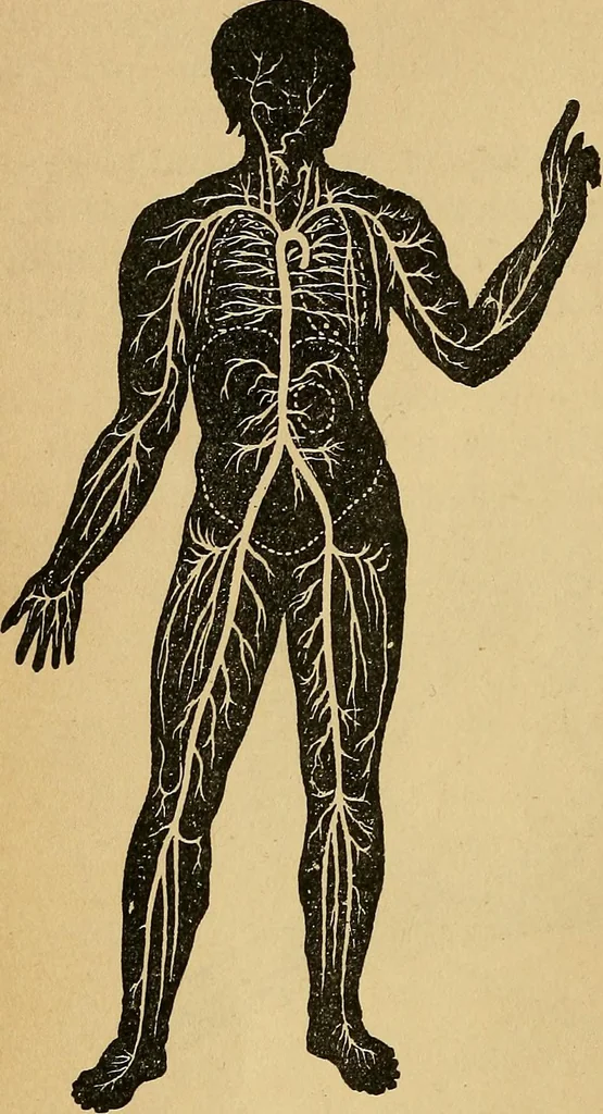 An illustration from Color study : a manual for teachers and students, 1895, leaf 73