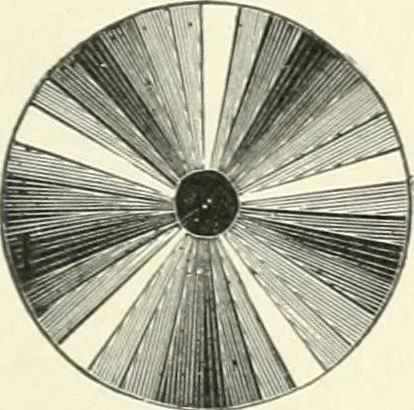 An illustration from Color-vision and color blindness, a practical manual for railroad surgeons, 1920, leaf 38
