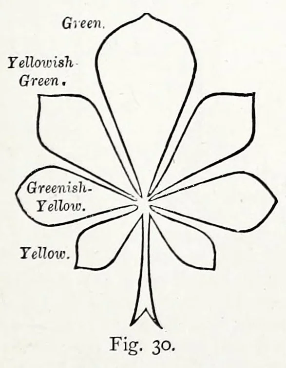 An illustration from Colour, 1870, leaf 93