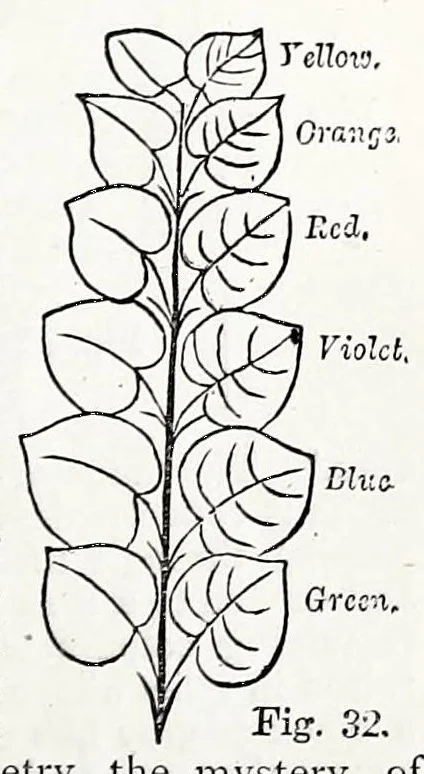 An illustration from Colour, 1870, leaf 95