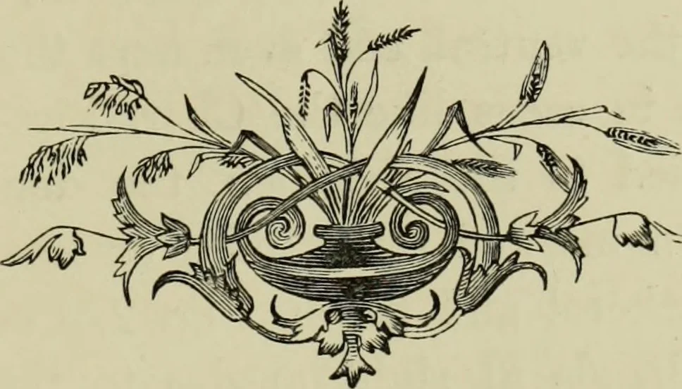 An illustration from Colouration in animals and plants, 1886, leaf 120