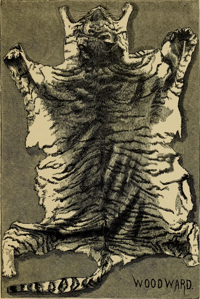 An illustration from Colouration in animals and plants, 1886, leaf 152