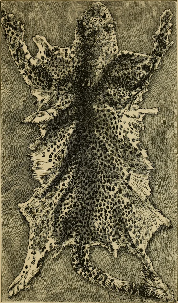 An illustration from Colouration in animals and plants, 1886, leaf 164