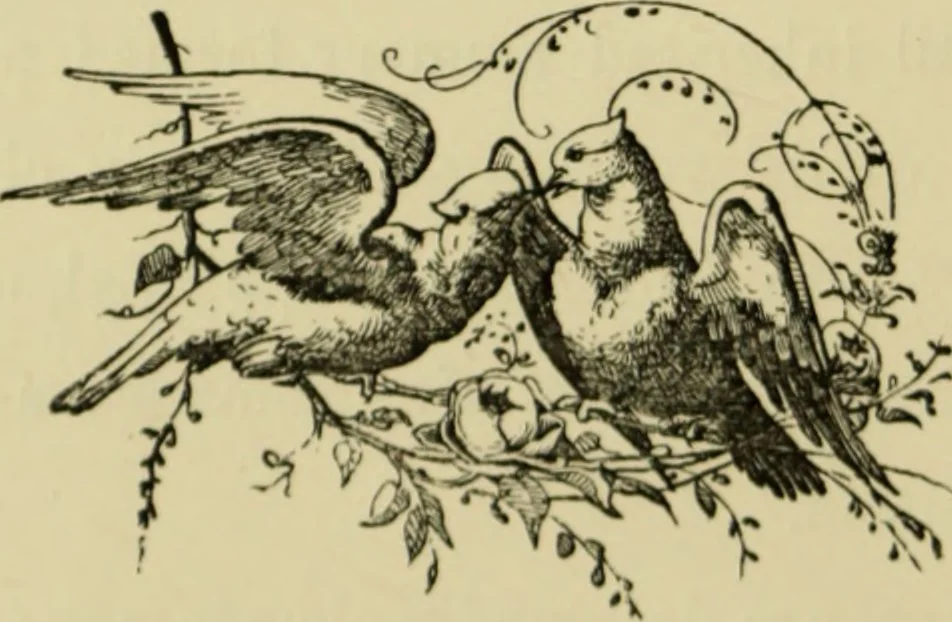 An illustration from Colouration in animals and plants, 1886, leaf 9