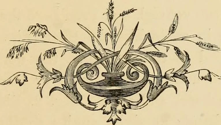 An illustration from Colouration in animals and plants, 1886, leaf 122