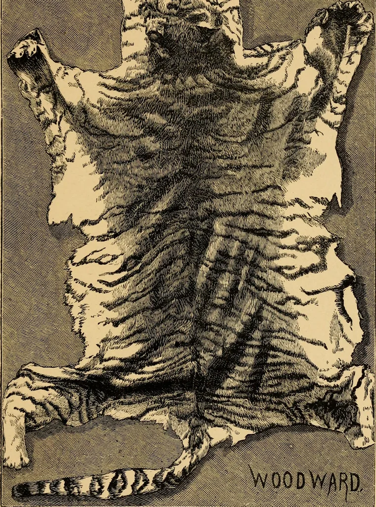 An illustration from Colouration in animals and plants, 1886, leaf 154