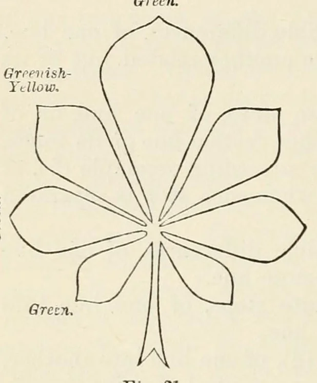 An illustration from Colour : an elementary manual for students, 1907, leaf 166