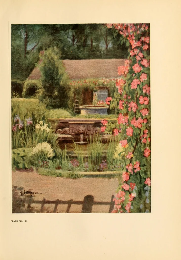 An illustration from Colour in my garden, 1918, leaf 177