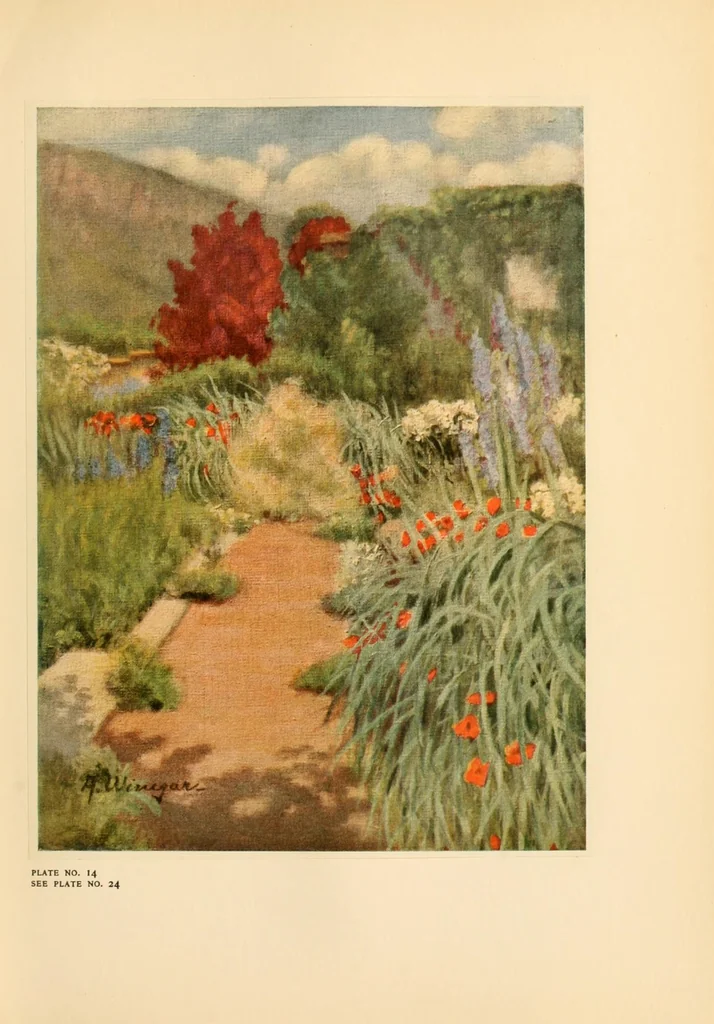 An illustration from Colour in my garden, 1918, leaf 201