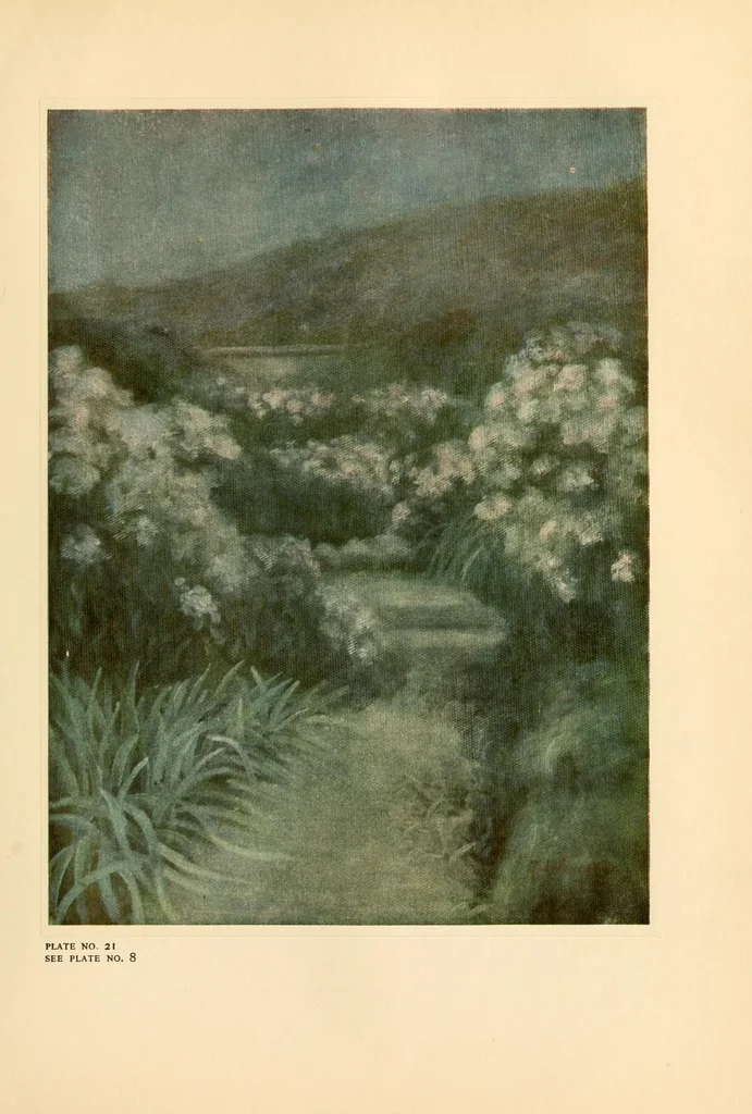 An illustration from Colour in my garden, 1918, leaf 301