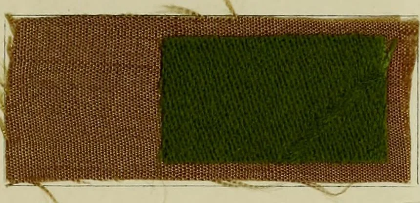 An illustration from Colour-matching on textiles : a manual intended for the use of dyers, calico printers, and textile colour chemists, containing coloured frontispiece, twenty-nine illustrations, and fourteen dyed patterns in appendix, 1901, leaf 160