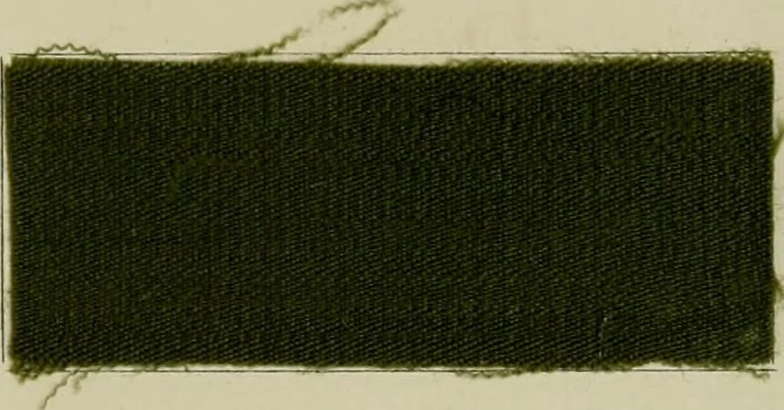 An illustration from Colour-matching on textiles : a manual intended for the use of dyers, calico printers, and textile colour chemists, containing coloured frontispiece, twenty-nine illustrations, and fourteen dyed patterns in appendix, 1901, leaf 164