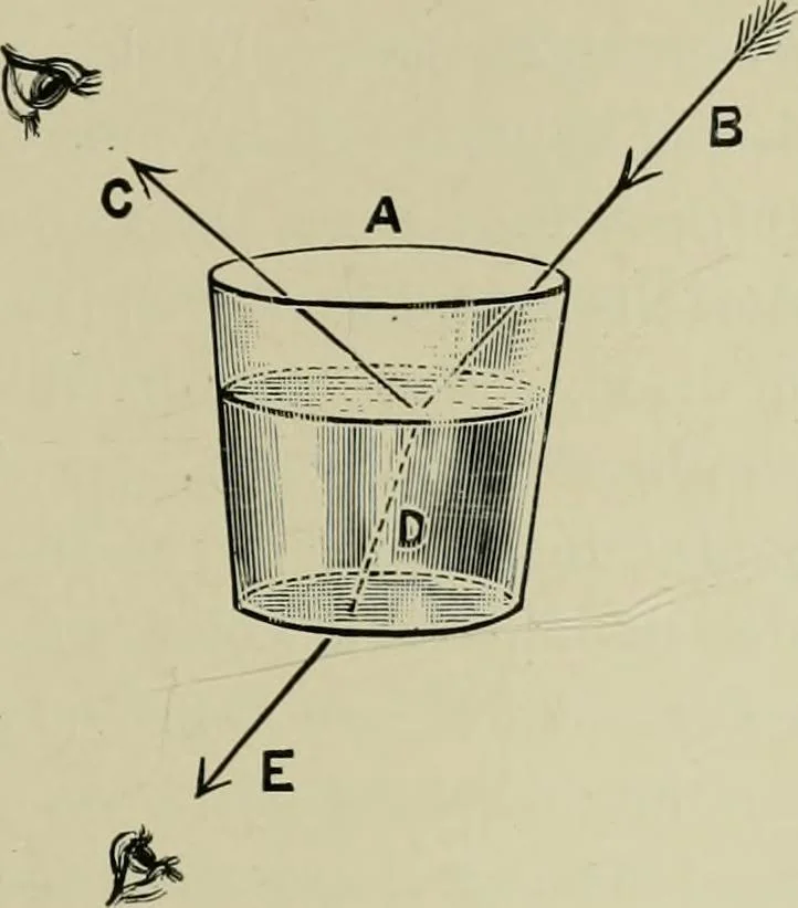 An illustration from Colour-matching on textiles : a manual intended for the use of dyers, calico printers, and textile colour chemists, containing coloured frontispiece, twenty-nine illustrations, and fourteen dyed patterns in appendix, 1901, leaf 48