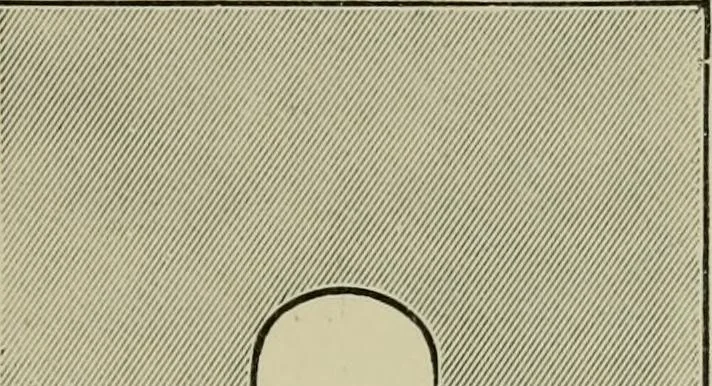 An illustration from Colour-matching on textiles : a manual intended for the use of dyers, calico printers, and textile colour chemists, containing coloured frontispiece, twenty-nine illustrations, and fourteen dyed patterns in appendix, 1901, leaf 64