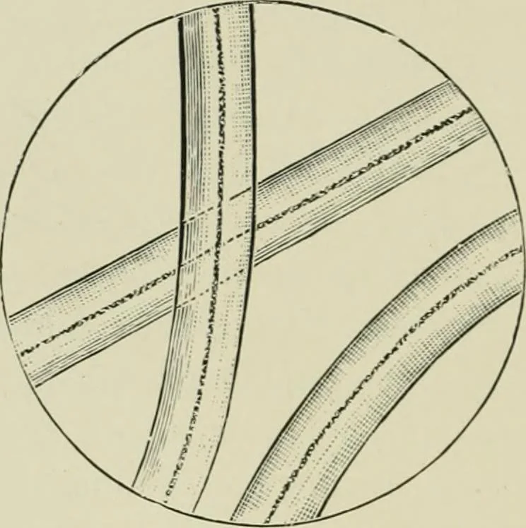 An illustration from Colour-matching on textiles : a manual intended for the use of dyers, calico printers, and textile colour chemists, containing coloured frontispiece, twenty-nine illustrations, and fourteen dyed patterns in appendix, 1901, leaf 77