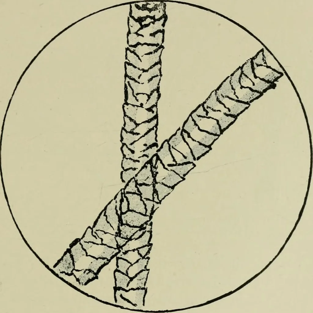 An illustration from Colour-matching on textiles : a manual intended for the use of dyers, calico printers, and textile colour chemists, containing coloured frontispiece, twenty-nine illustrations, and fourteen dyed patterns in appendix, 1901, leaf 78