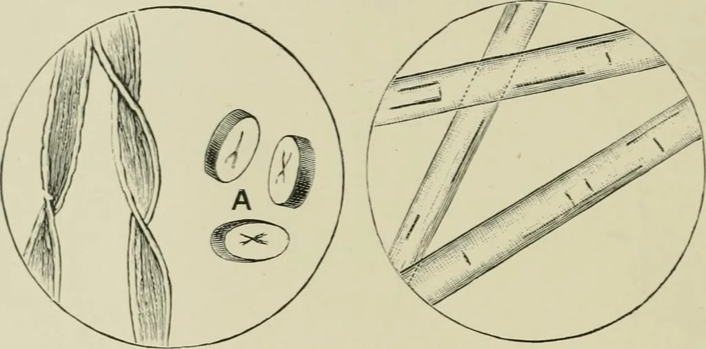 An illustration from Colour-matching on textiles : a manual intended for the use of dyers, calico printers, and textile colour chemists, containing coloured frontispiece, twenty-nine illustrations, and fourteen dyed patterns in appendix, 1901, leaf 79