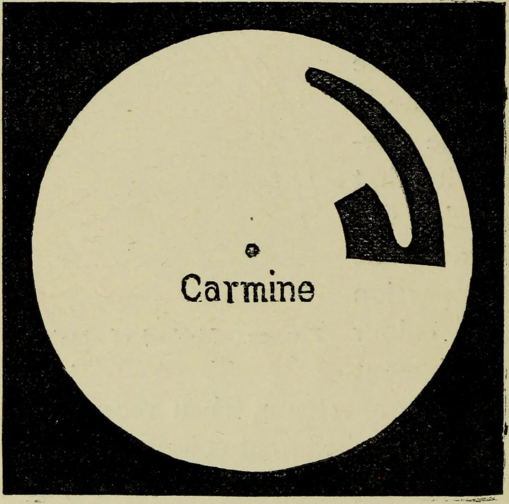 An illustration from Colour measurement and mixture. Published under the direction of the Committee of General Literature and Education appointed by the Society for Promoting Christian Knowledge, 1891, leaf 109