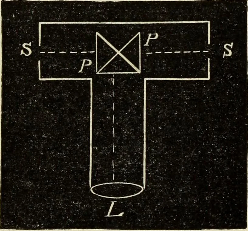 An illustration from Colour measurement and mixture. Published under the direction of the Committee of General Literature and Education appointed by the Society for Promoting Christian Knowledge, 1891, leaf 112