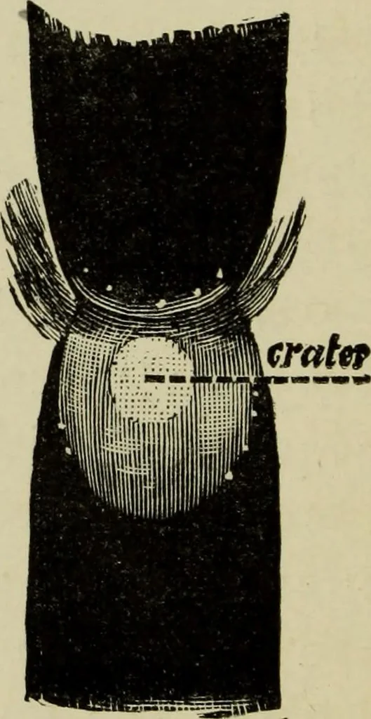 An illustration from Colour measurement and mixture. Published under the direction of the Committee of General Literature and Education appointed by the Society for Promoting Christian Knowledge, 1891, leaf 23