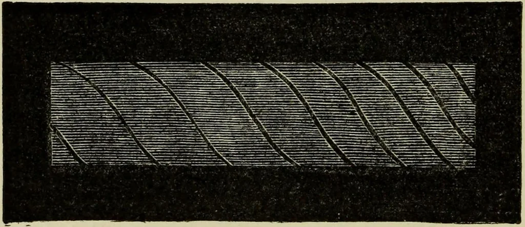 An illustration from Colour measurement and mixture. Published under the direction of the Committee of General Literature and Education appointed by the Society for Promoting Christian Knowledge, 1891, leaf 63