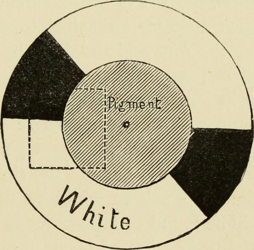 An illustration from Colour measurement and mixture. Published under the direction of the Committee of General Literature and Education appointed by the Society for Promoting Christian Knowledge, 1891, leaf 92