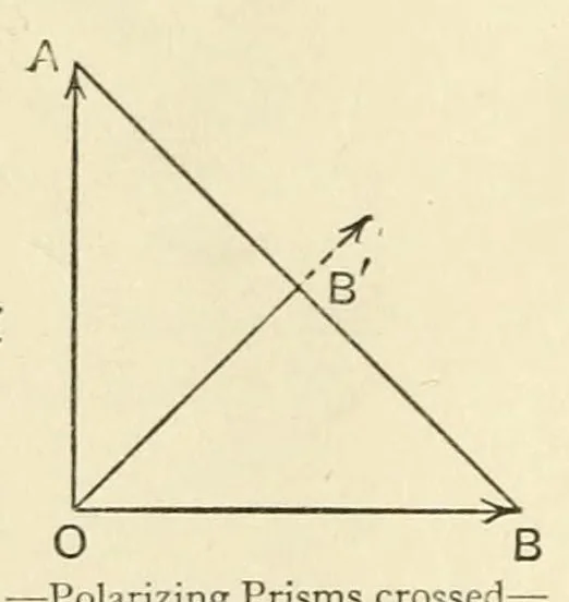 An illustration from Colour and methods of colour reproduction, 1923, leaf 110