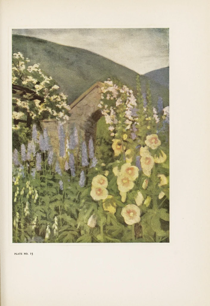 An illustration from Colour in my garden, 1918, leaf 219