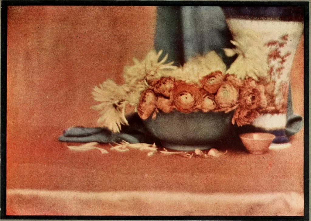 An illustration from Colour photography : and other recent developments of the art of the camera, 1908, leaf 160
