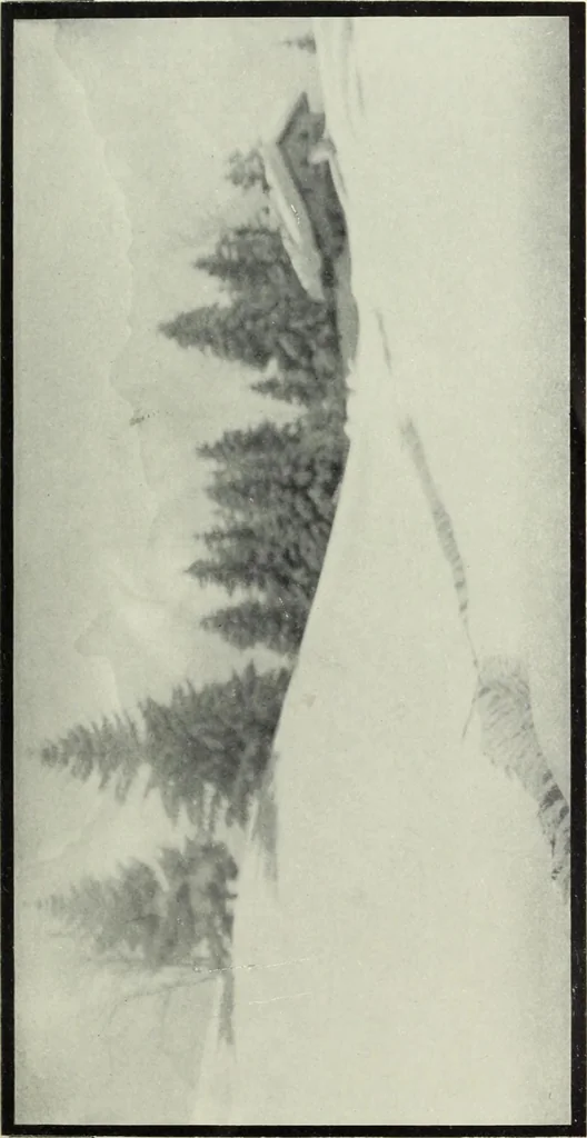 An illustration from Colour photography : and other recent developments of the art of the camera, 1908, leaf 178