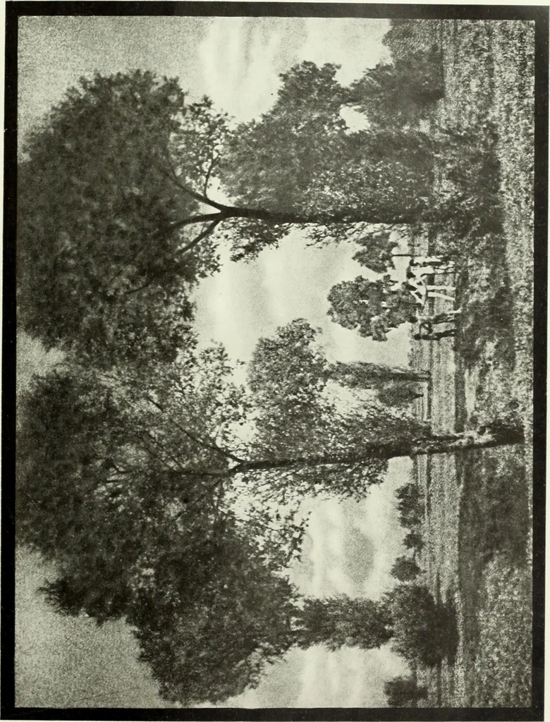 An illustration from Colour photography : and other recent developments of the art of the camera, 1908, leaf 188