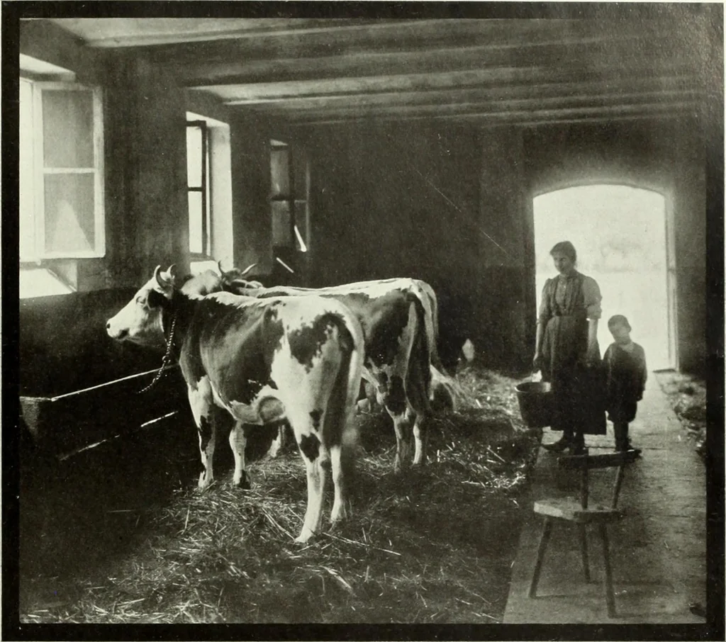 An illustration from Colour photography : and other recent developments of the art of the camera, 1908, leaf 200