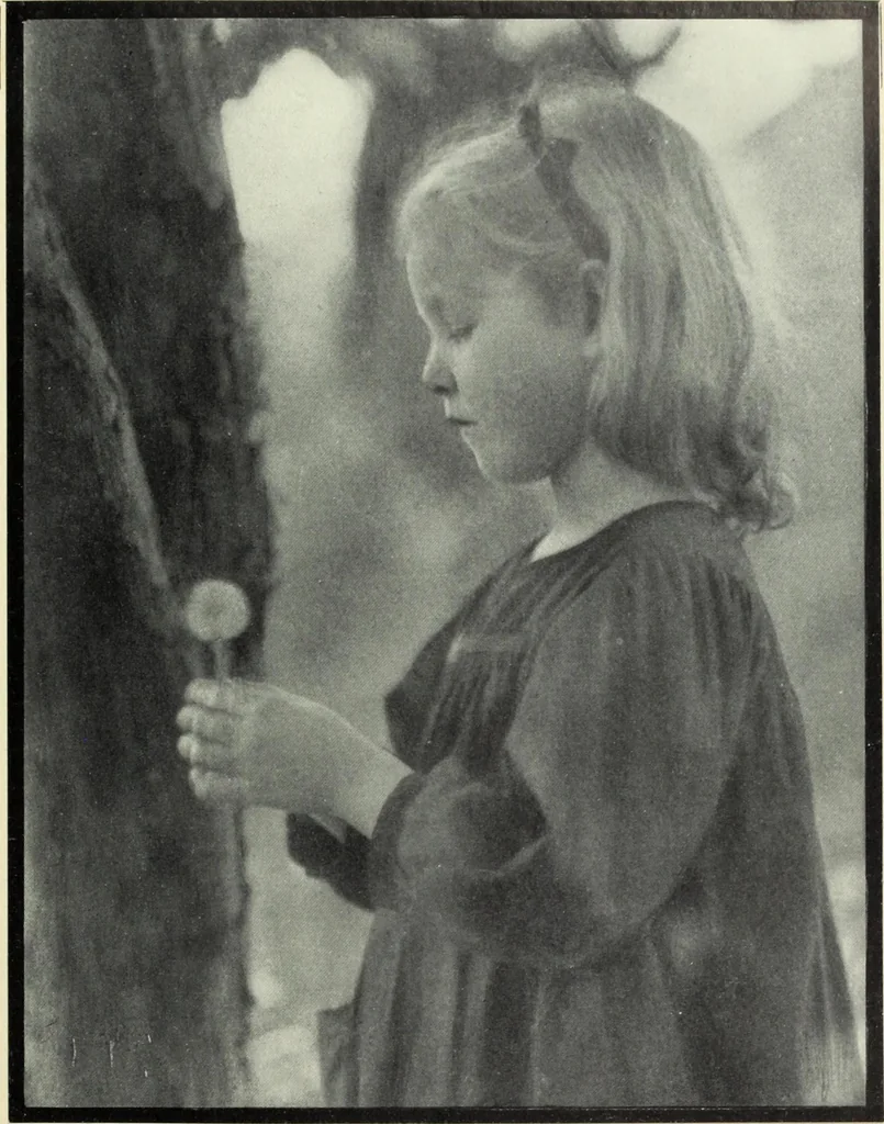 An illustration from Colour photography : and other recent developments of the art of the camera, 1908, leaf 202