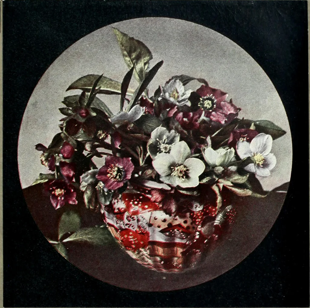 An illustration from Colour photography : and other recent developments of the art of the camera, 1908, leaf 218