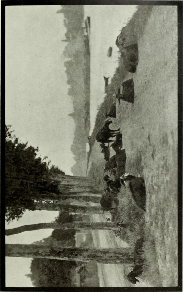 An illustration from Colour photography : and other recent developments of the art of the camera, 1908, leaf 222