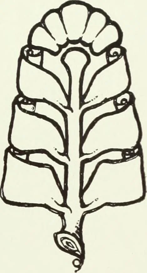 An illustration from Colour photography : and other recent developments of the art of the camera, 1908, leaf 248